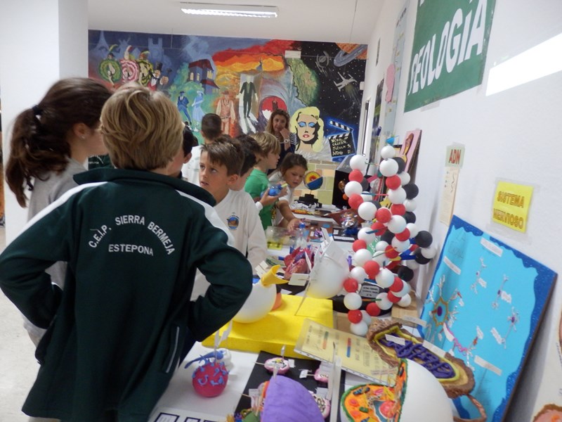 FERIA C T 017 [800x600]